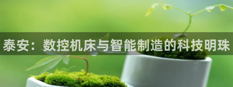 辰天娱乐