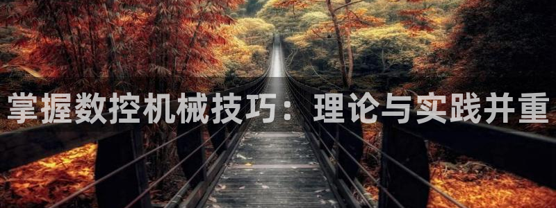 天辰娱乐平台登录账号
