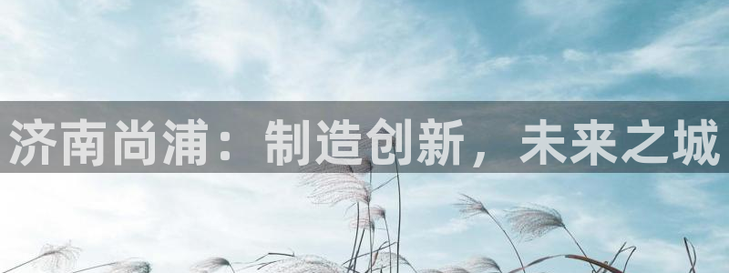 大同天辰娱乐